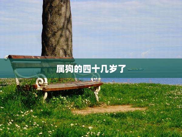 属狗的四十几岁了