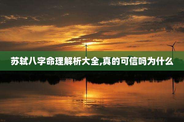 苏轼八字命理解析大全,真的可信吗为什么