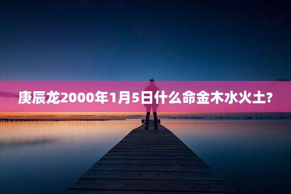 庚辰龙2000年1月5日什么命金木水火土?