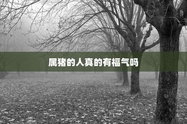 属猪的人真的有福气吗
