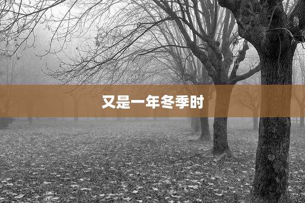 又是一年冬季时