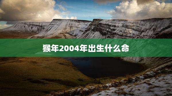 猴年2004年出生什么命
