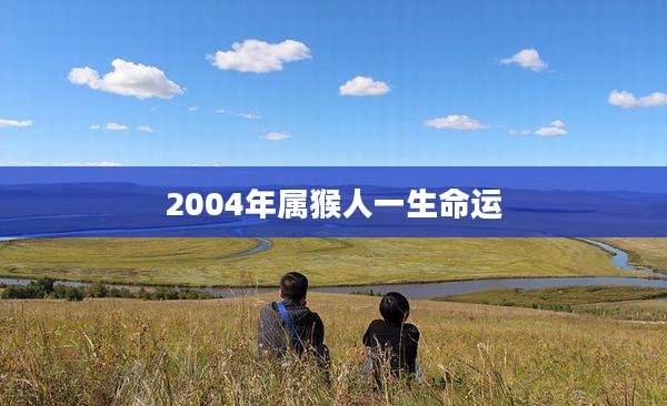 2004年属猴人一生命运