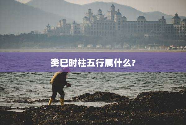 癸巳时柱五行属什么?