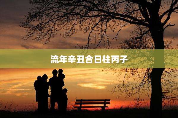 流年辛丑合日柱丙子