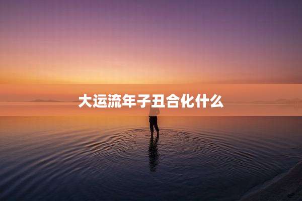 大运流年子丑合化什么
