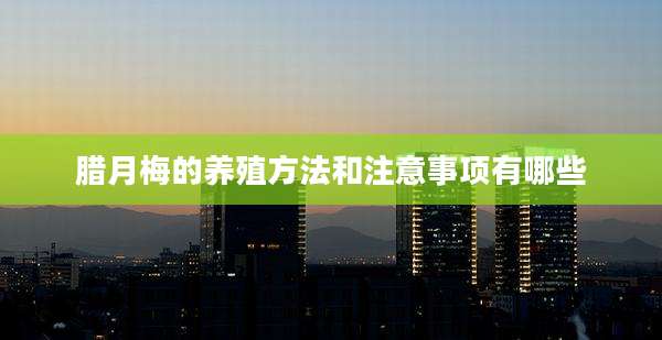 腊月梅的养殖方法和注意事项有哪些