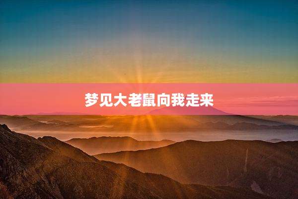 梦见大老鼠向我走来