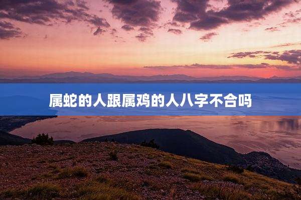属蛇的人跟属鸡的人八字不合吗