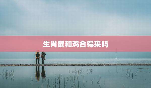 生肖鼠和鸡合得来吗