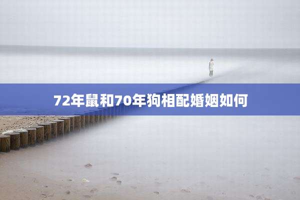 72年鼠和70年狗相配婚姻如何