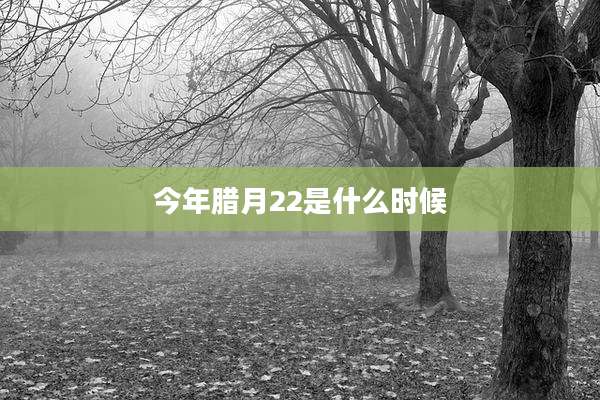 今年腊月22是什么时候