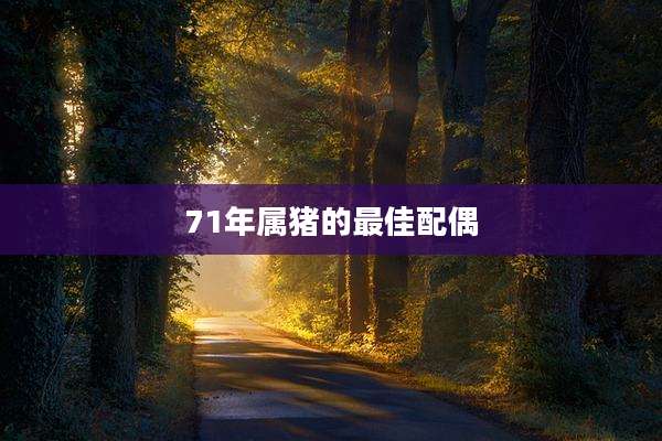 71年属猪的最佳配偶