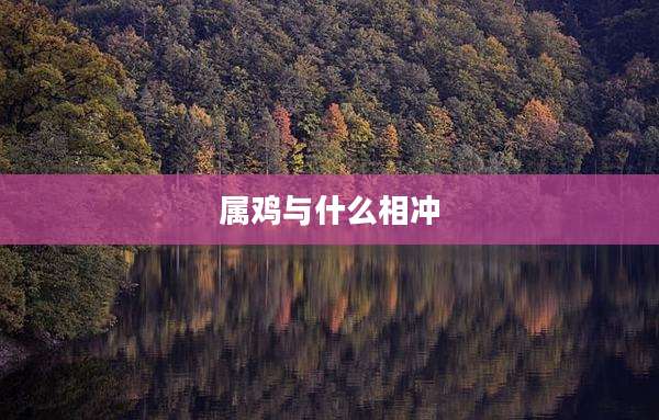 属鸡与什么相冲