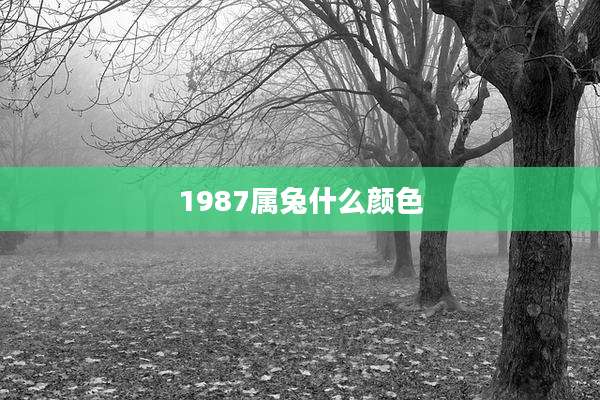 1987属兔什么颜色