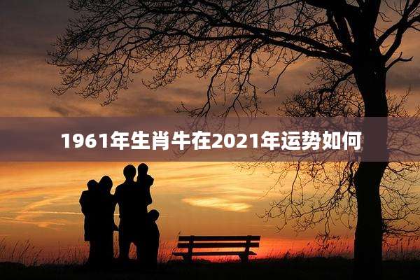 1961年生肖牛在2021年运势如何
