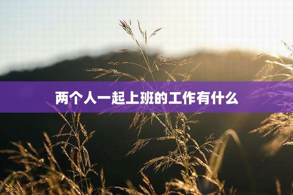 两个人一起上班的工作有什么