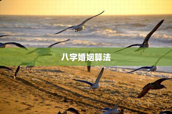 八字婚姻算法