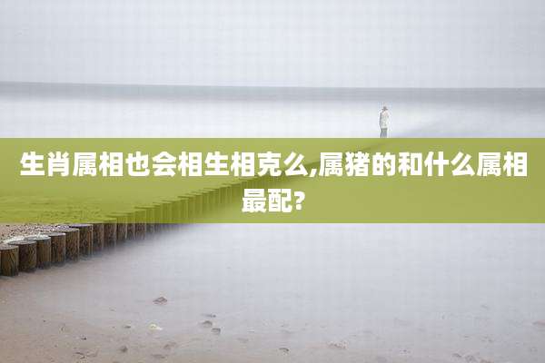 生肖属相也会相生相克么,属猪的和什么属相最配?