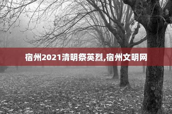 宿州2021清明祭英烈,宿州文明网