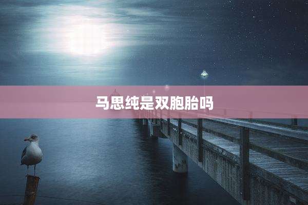 马思纯是双胞胎吗