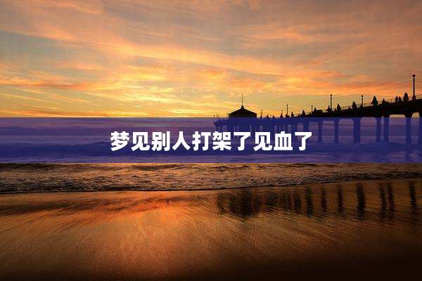 梦见别人打架了见血了