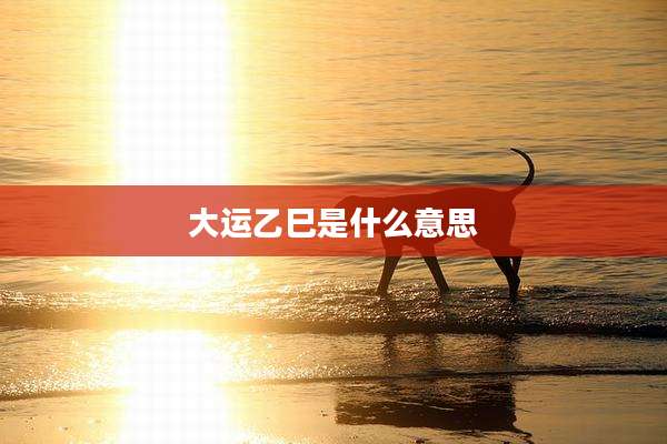 大运乙巳是什么意思
