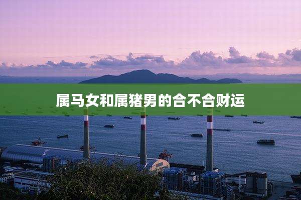 属马女和属猪男的合不合财运