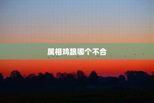 属相鸡跟哪个不合