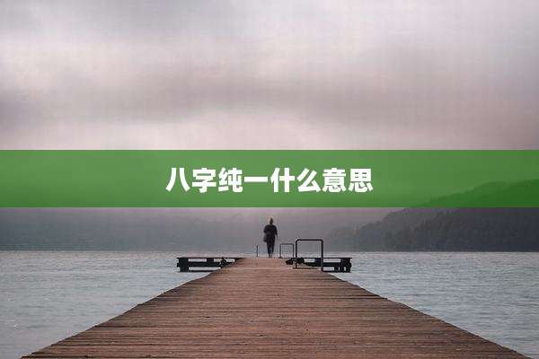 八字纯一什么意思