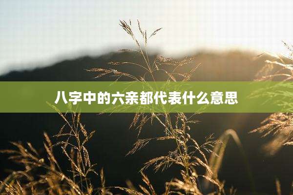 八字中的六亲都代表什么意思