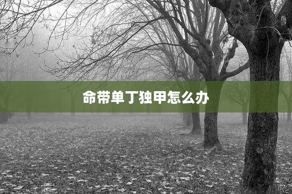 命带单丁独甲怎么办