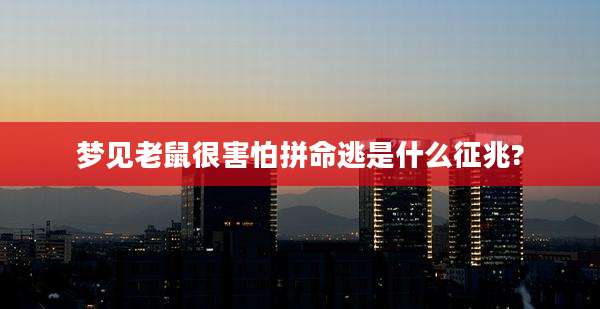 梦见老鼠很害怕拼命逃是什么征兆?