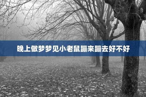 晚上做梦梦见小老鼠蹦来蹦去好不好