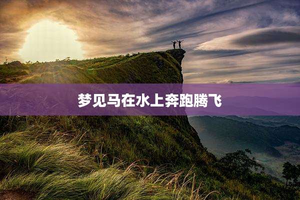 梦见马在水上奔跑腾飞