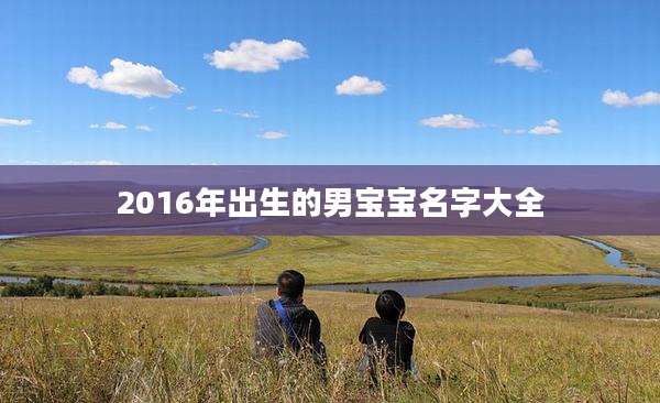 2016年出生的男宝宝名字大全