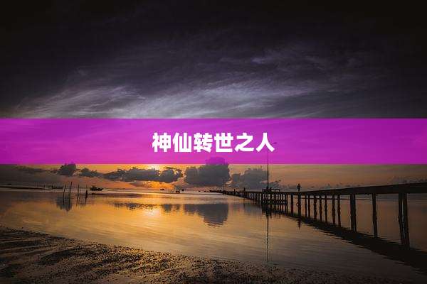 神仙转世之人