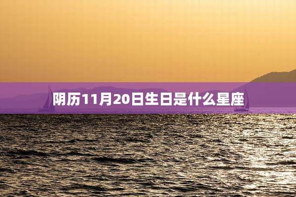 阴历11月20日生日是什么星座