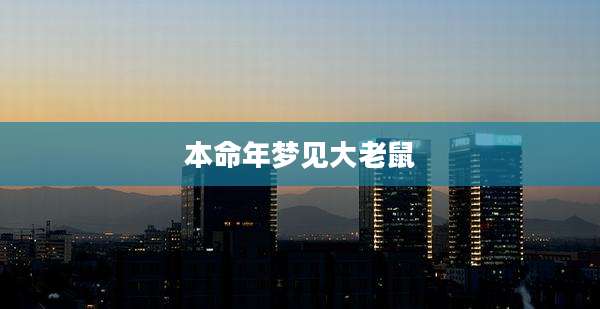 本命年梦见大老鼠
