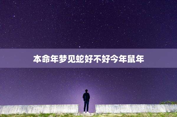 本命年梦见蛇好不好今年鼠年
