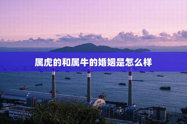 属虎的和属牛的婚姻是怎么样
