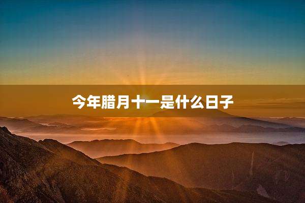 今年腊月十一是什么日子