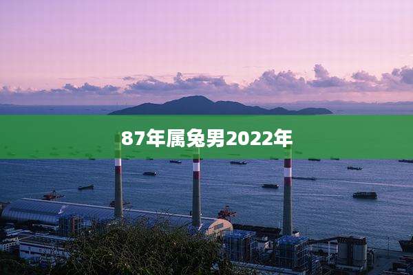 87年属兔男2022年