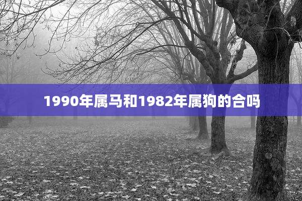 1990年属马和1982年属狗的合吗