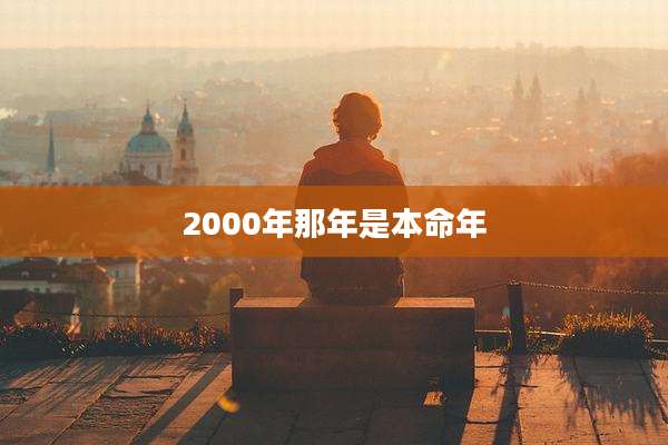 2000年那年是本命年
