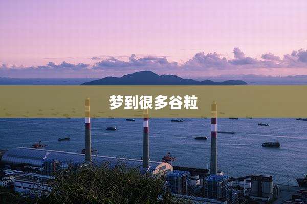 梦到很多谷粒