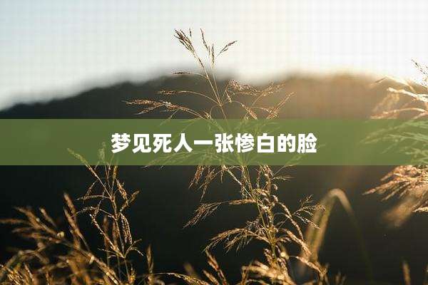 梦见死人一张惨白的脸