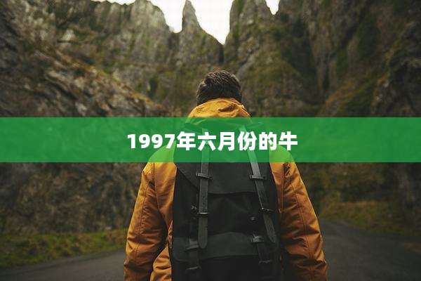 1997年六月份的牛
