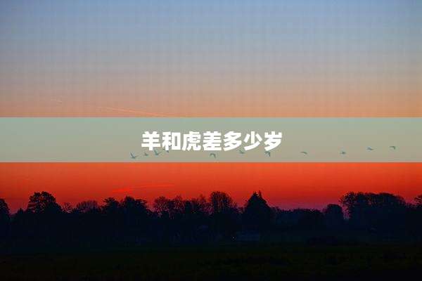 羊和虎差多少岁