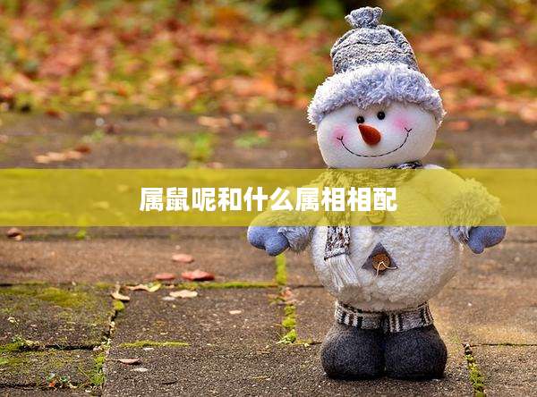 属鼠呢和什么属相相配